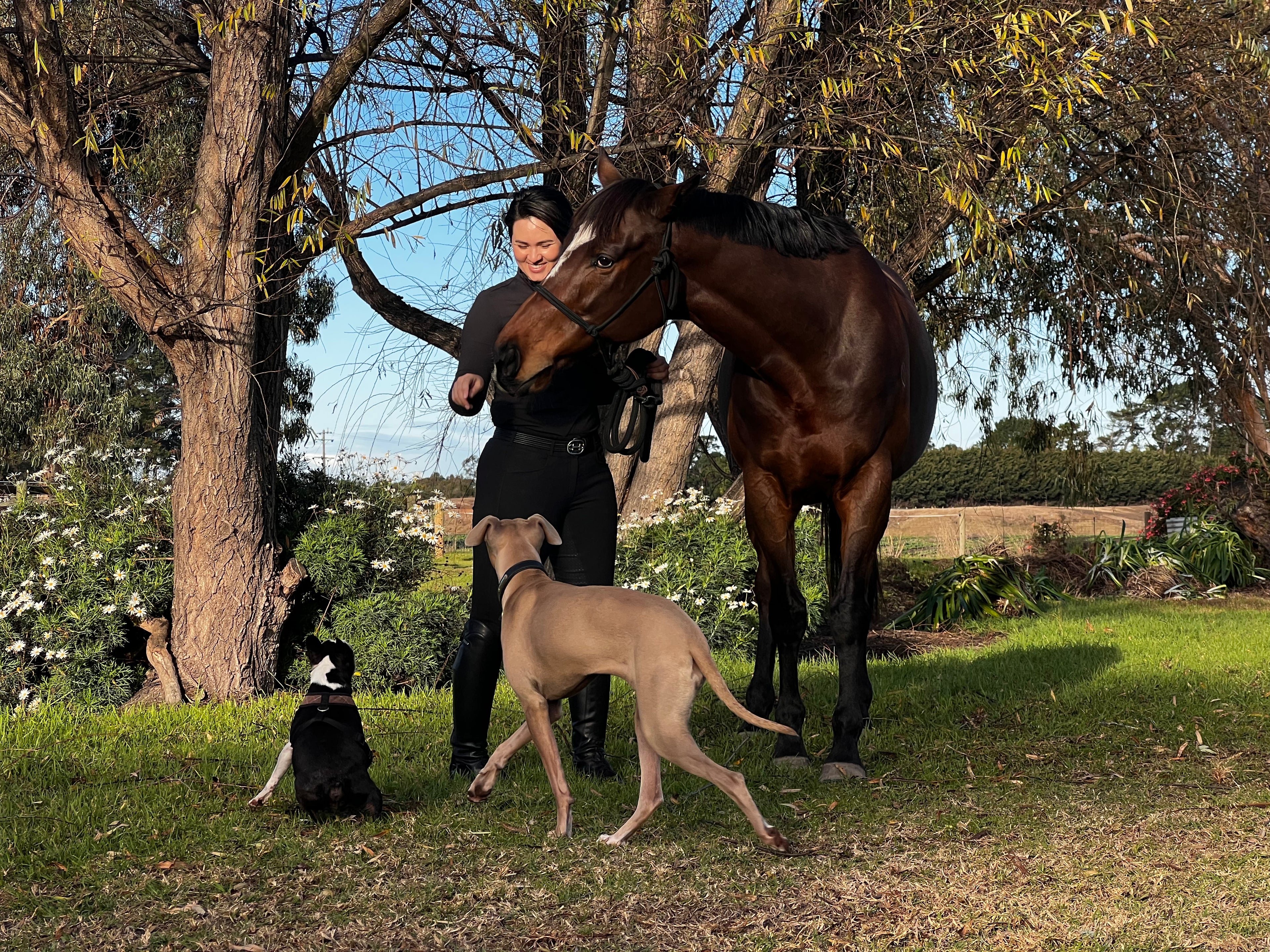 Petits Bisous | 500g of Bisous Biscuits