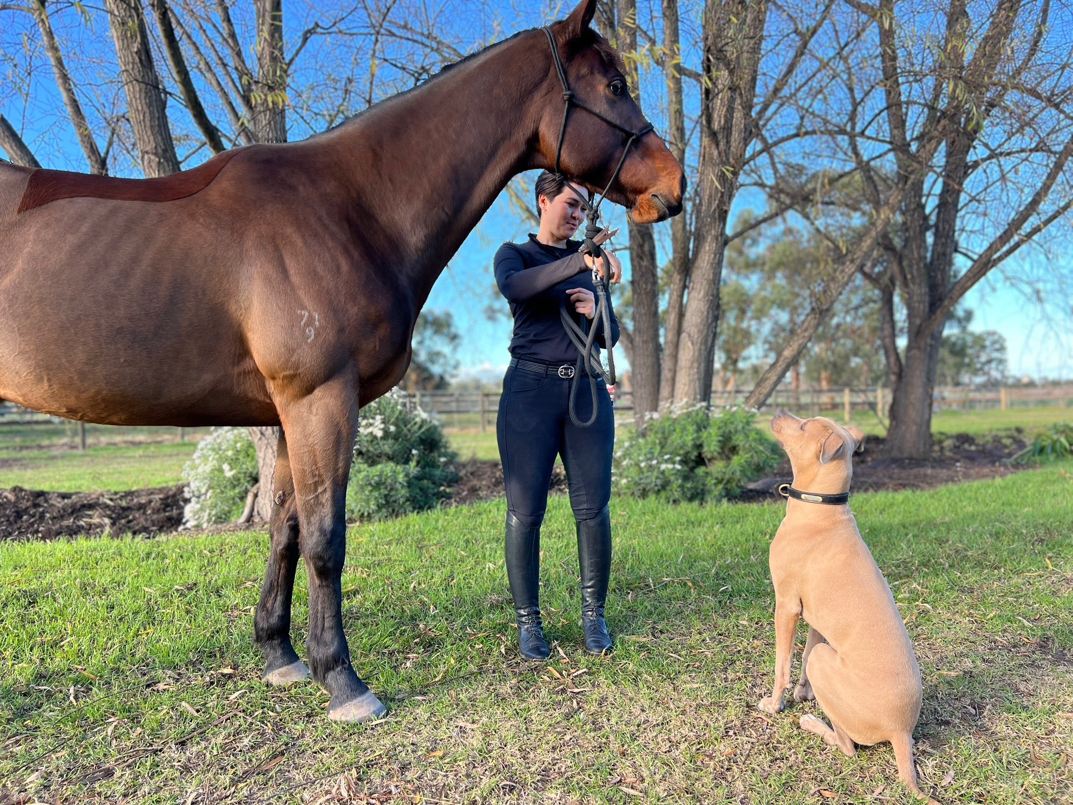 The dog ate my Bisous!